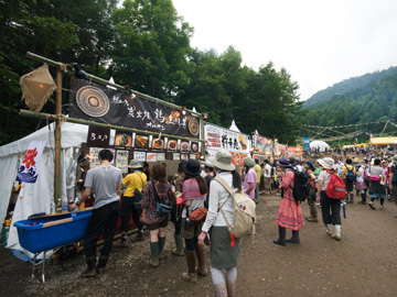 NEW POWER GEAR Field / AVALON