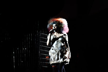 bjork: biophilia live