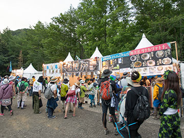 NEW POWER GEAR Field / AVALON